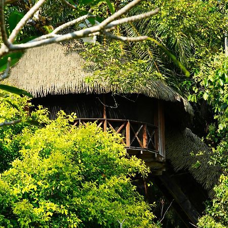 Huma Terra Lodges Hikkaduwa Eksteriør bilde