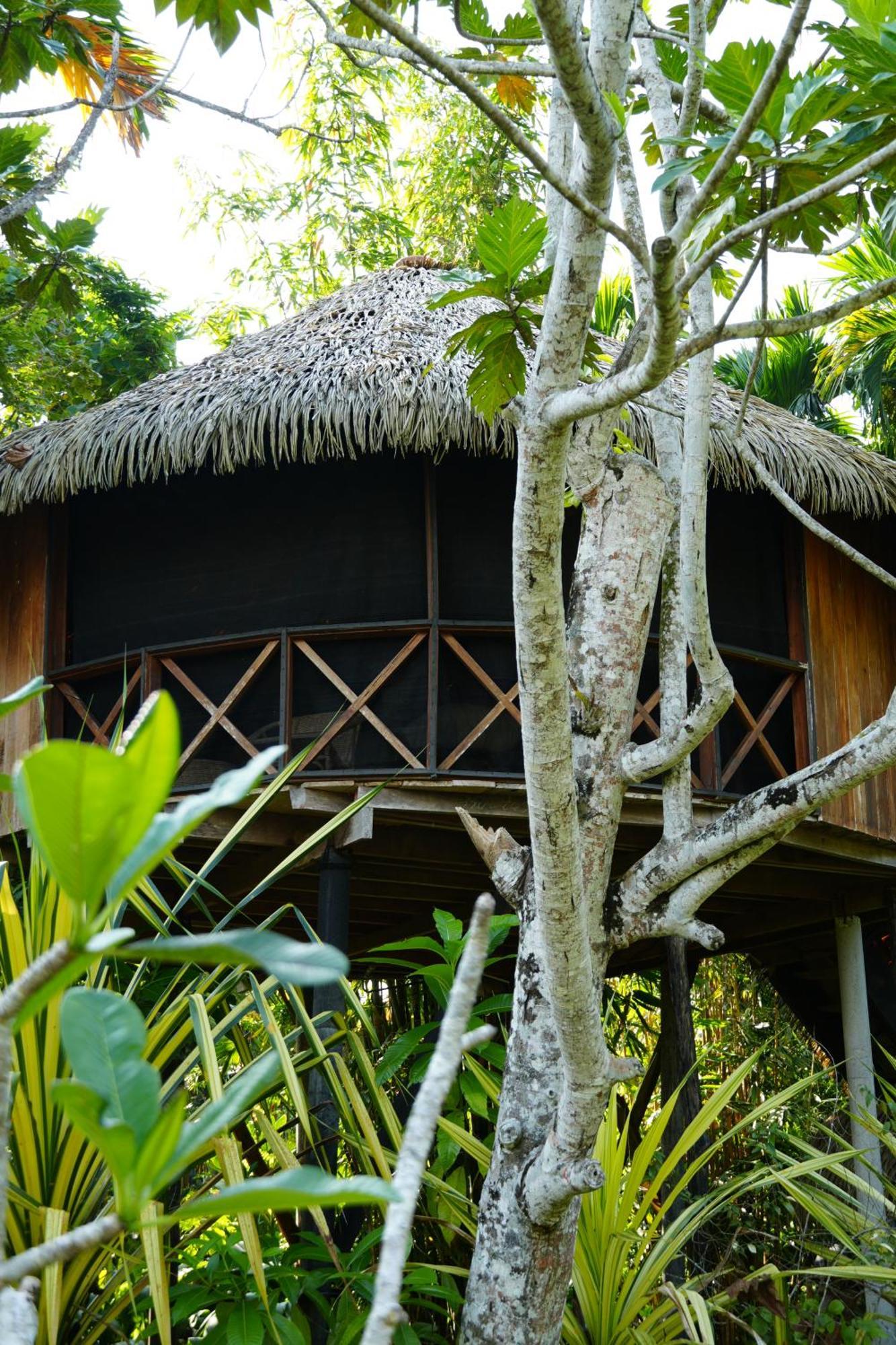 Huma Terra Lodges Hikkaduwa Eksteriør bilde