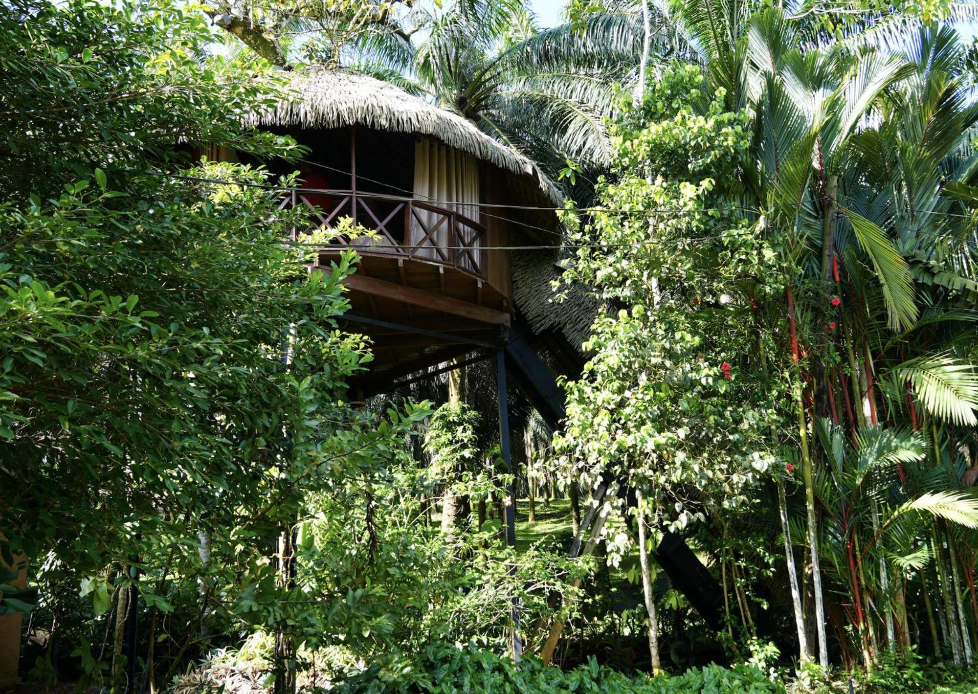 Huma Terra Lodges Hikkaduwa Eksteriør bilde